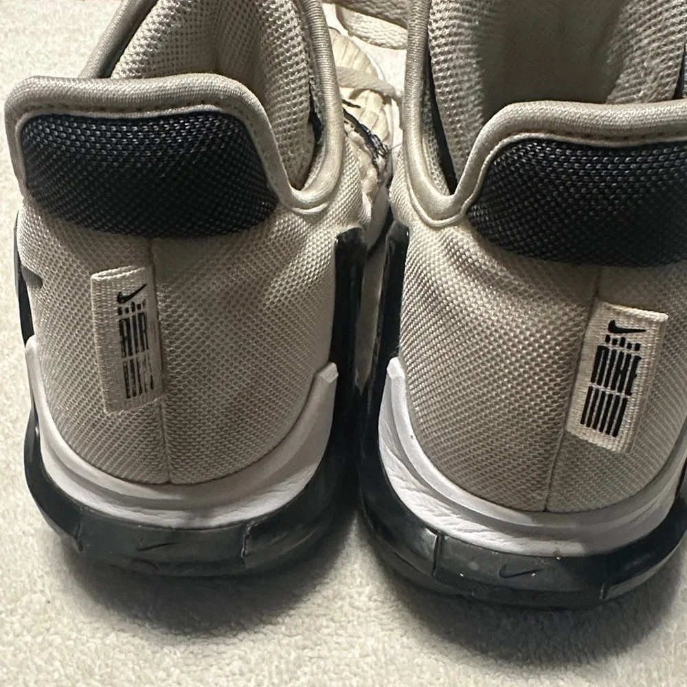 Nike lebron witness